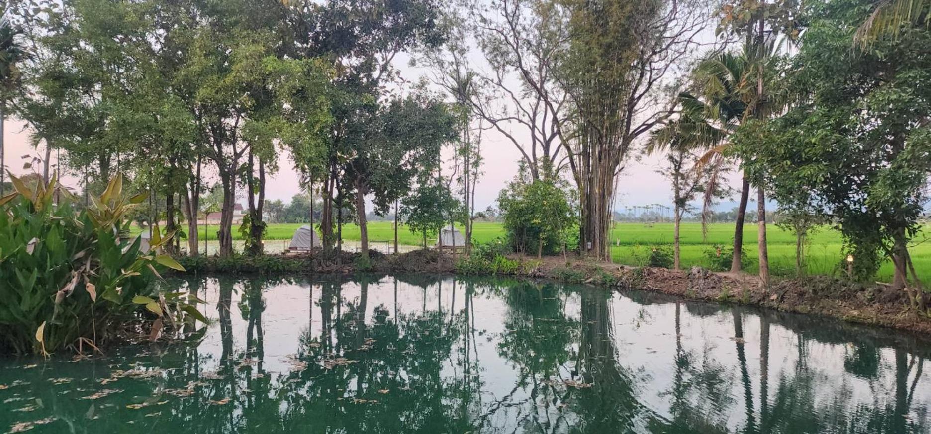 Tung Tong Homestay & Camping Маэ-Рим Экстерьер фото