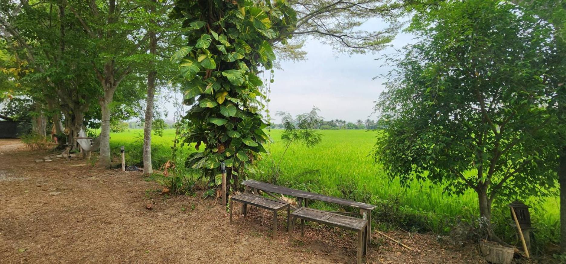 Tung Tong Homestay & Camping Маэ-Рим Экстерьер фото