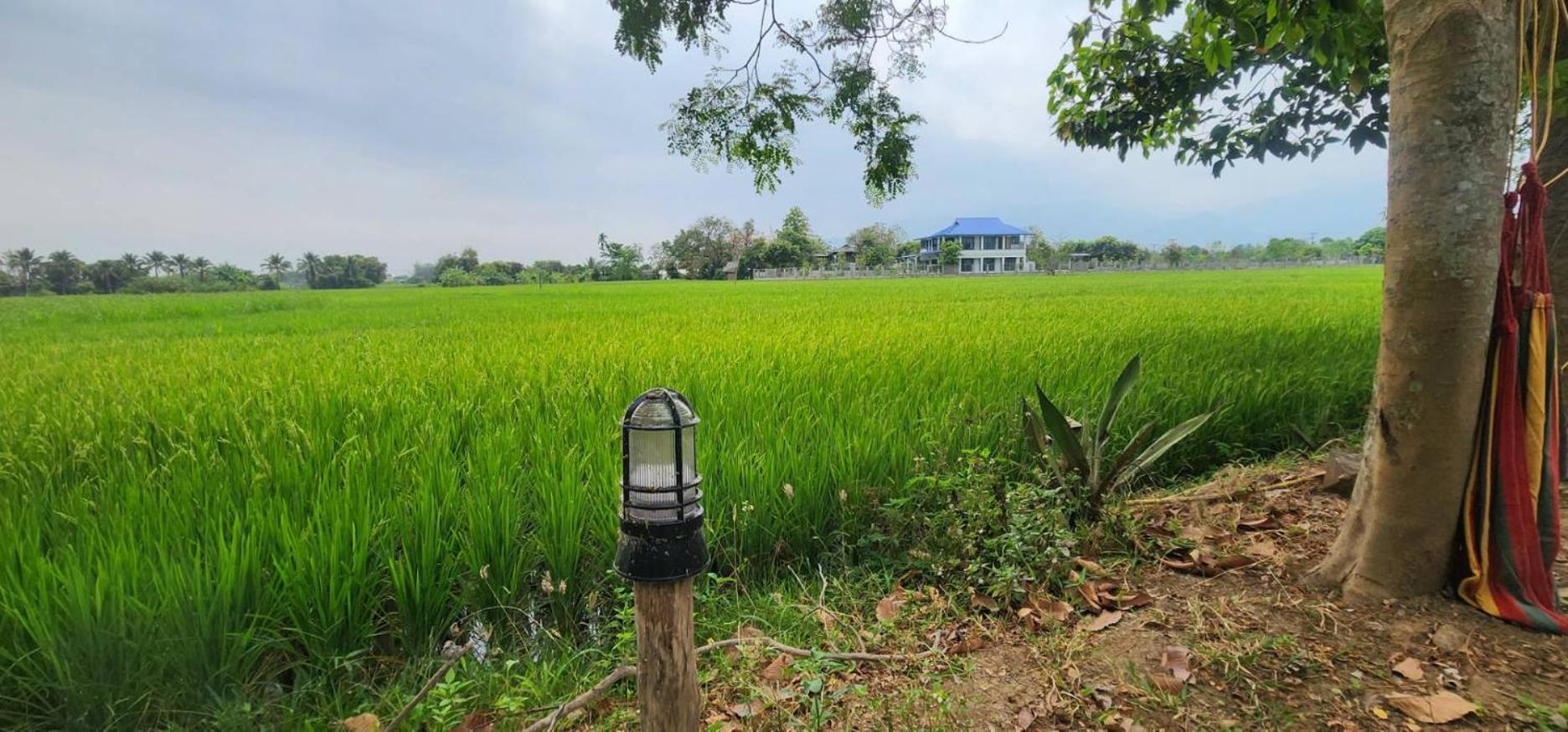 Tung Tong Homestay & Camping Маэ-Рим Экстерьер фото