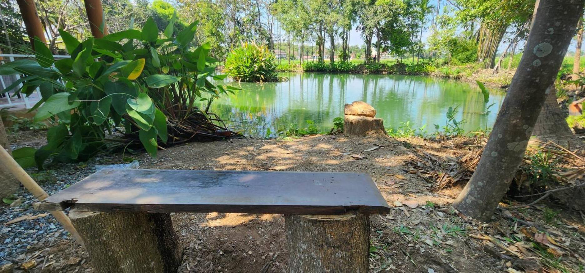 Tung Tong Homestay & Camping Маэ-Рим Экстерьер фото
